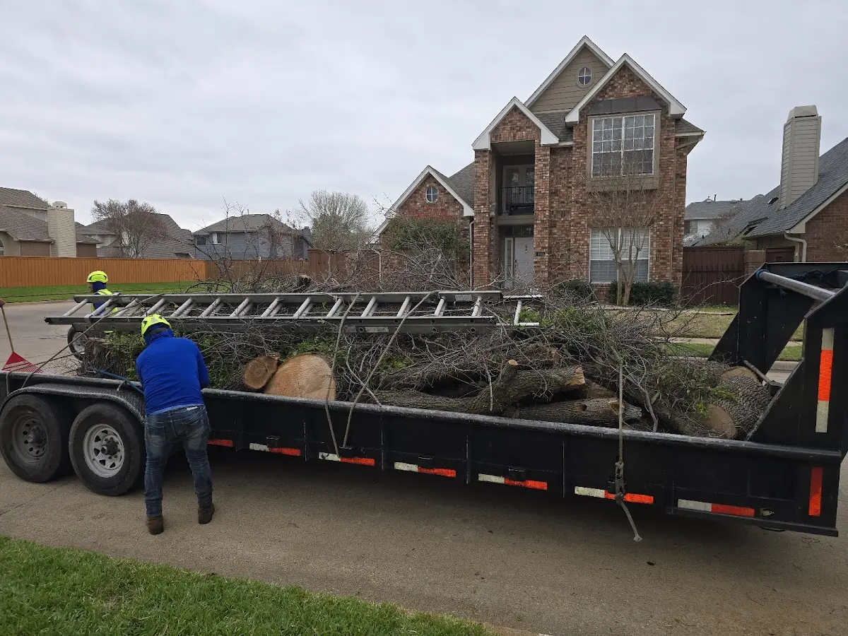 Expert Tree Removal with proper safety equipment in Spicer